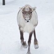 Matteo Botz's photo