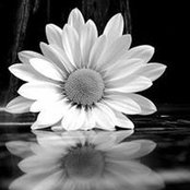 Jayne Herring's photo