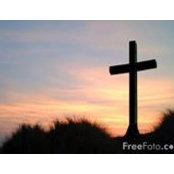 Diane Patterson's photo