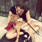 Foto de amanda singer
