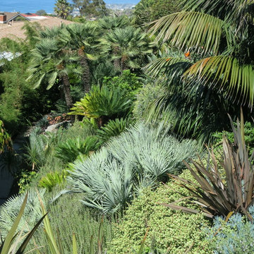 Tropical Zen