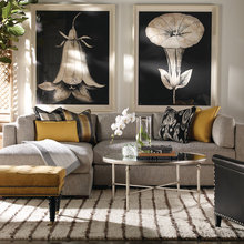 Living Room Ideas