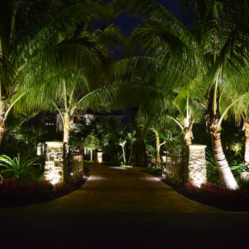 Dream Island Paradise - Evening Lighting