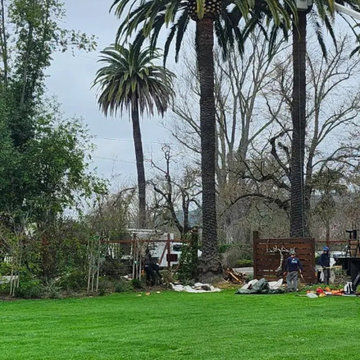 Greenview Tree Care