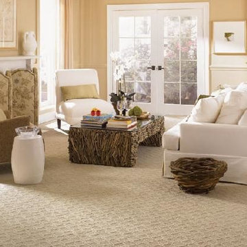 Captivating Carpet