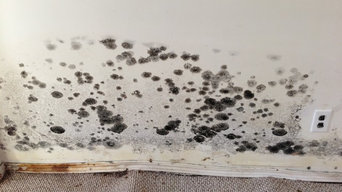 Mold affected house