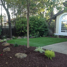 laura's backyard