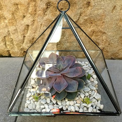 Geometric terrariums by Daring Flowers - Products