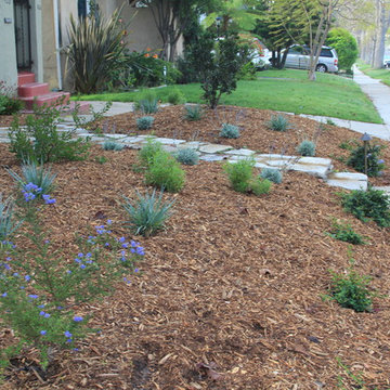 Lawn Removal