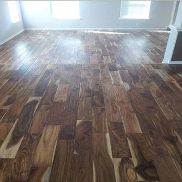 Our Work