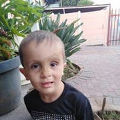 Johan van der Walt's photo