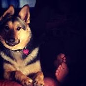 Katie Bates's photo