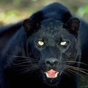 Katia Baquet's photo