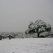 Gayle Husko's photo