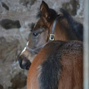 Melanie Denoon's photo