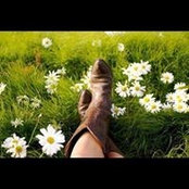 Dianna Galland's photo