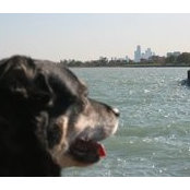 Michael Moore's photo