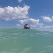 Tyler Fortney's photo