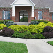 Outdoors - Landscapes, Patio, Flowers, Plants