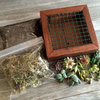 Vertical Succulent in Reclaimed Wood Kit