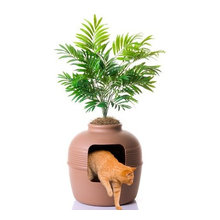 Ideas for Cats