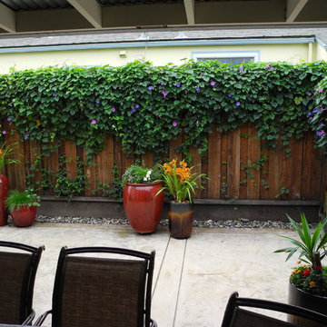 The Lawn Goodbye & Hello To A New Inviting Spaces By Kim