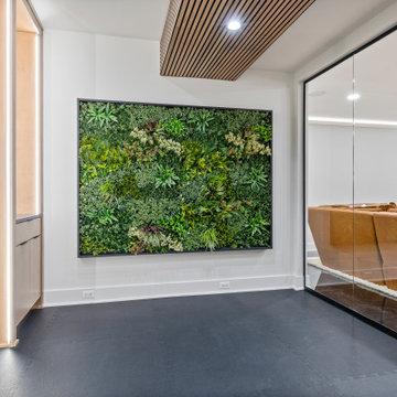 End Unit - Modern Transitional Luxury Rowhome | Heritage Place Naperville, IL