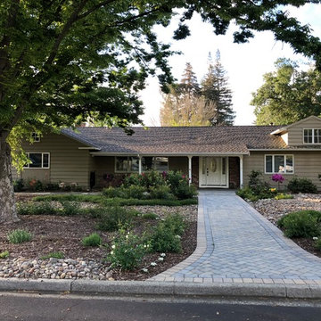Front Yard Slow and Patient Remodel