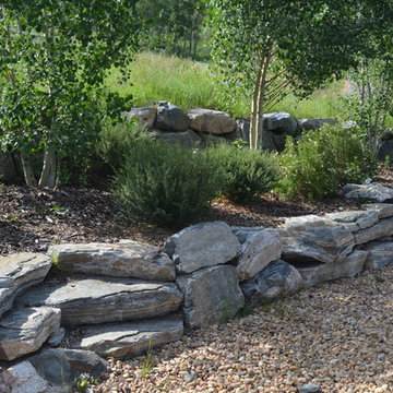 Design - Build Mountain Ranch Landscape in Summit County, CO