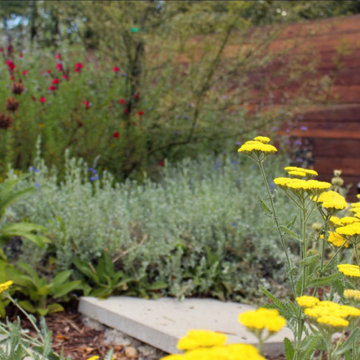 Royal California Native Frontyard Plant Bundle