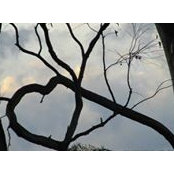 Odette Werzak's photo