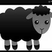 Pattie Phillips's photo