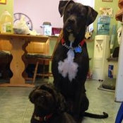 Catherine Hillmann's photo