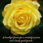 Toni Nickelson's photo