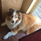 Wendy Maroszek's photo