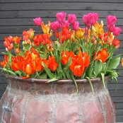 Benjamin Mosser's photo