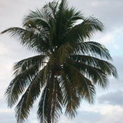 Johnna Grieble's photo