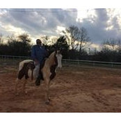 Ben McDaniel's photo