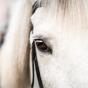 Amy White's photo