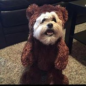 Gary Pattek's photo