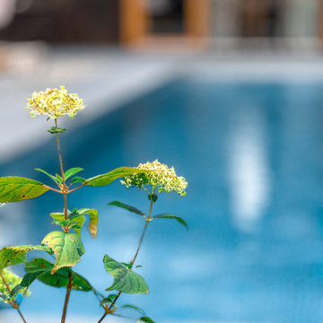 Piscine Inox 11,8 x 3,8 x 1,4 - Hôtel Fleur des Neiges