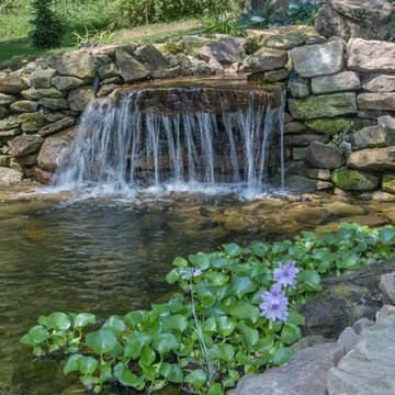 Woodland Stream & Pond