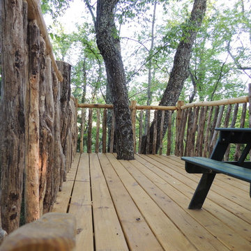 Custom Tree House