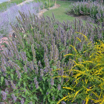 Pollinator & Vegetable Garden in Towson, MD