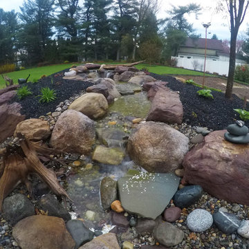 Backyard Party