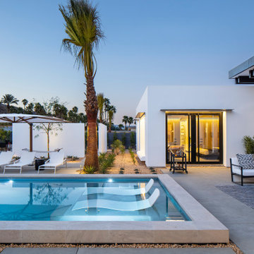 Mesa Modern