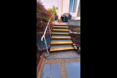 Complete Backyard & Landscape Renovation