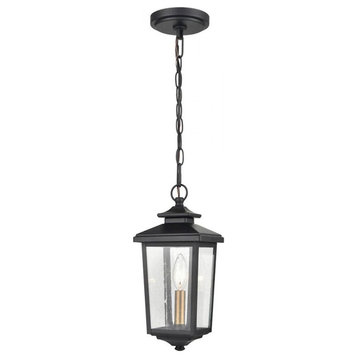 Millennium Eldrick 1 Light 13.5" Outdoor Hanging Lantern, Black/Clear, 4621-PBK
