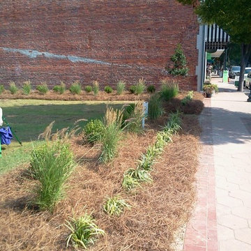 Bear Town Market Garden