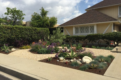 Photo of a large mid-century modern drought-tolerant and full sun front yard gravel landscaping in Los Angeles.